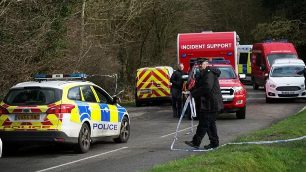 Passeadora de cães inglesa é morta após ataque de oito animais