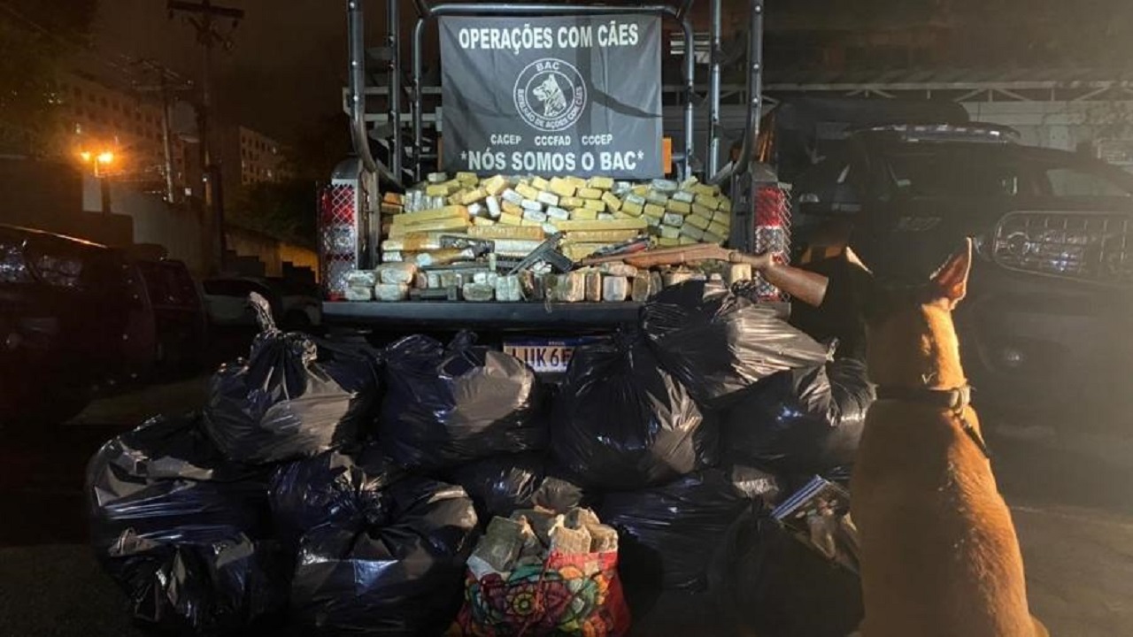 Cadela da Polícia Militar do Rio encontra esconderijo com cerca de uma tonelada de drogas