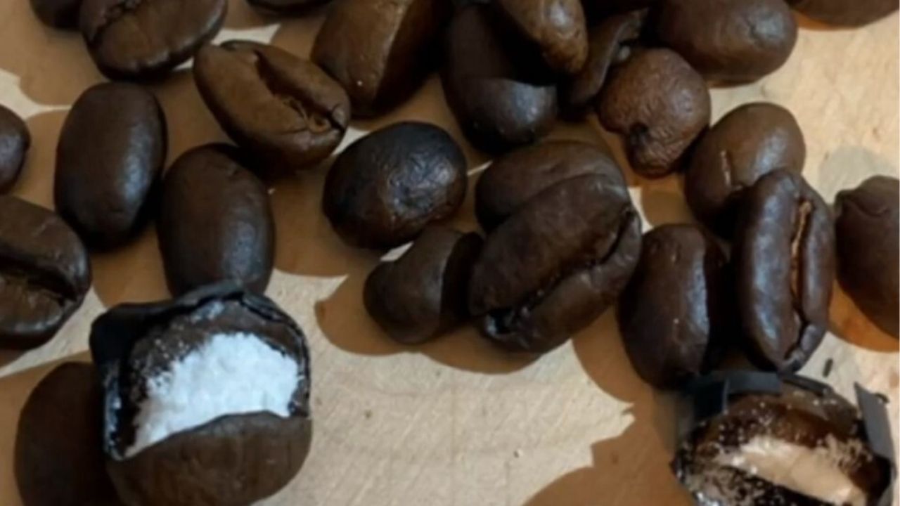 Autoridades italianas apreendem grãos de café com cocaína escondida