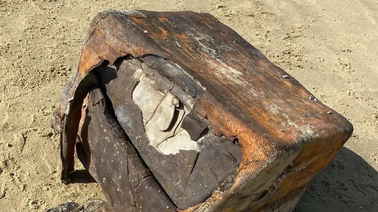Material proveniente de navios nazistas naufragados na 2ª Guerra Mundial é encontrado em praia de Olinda