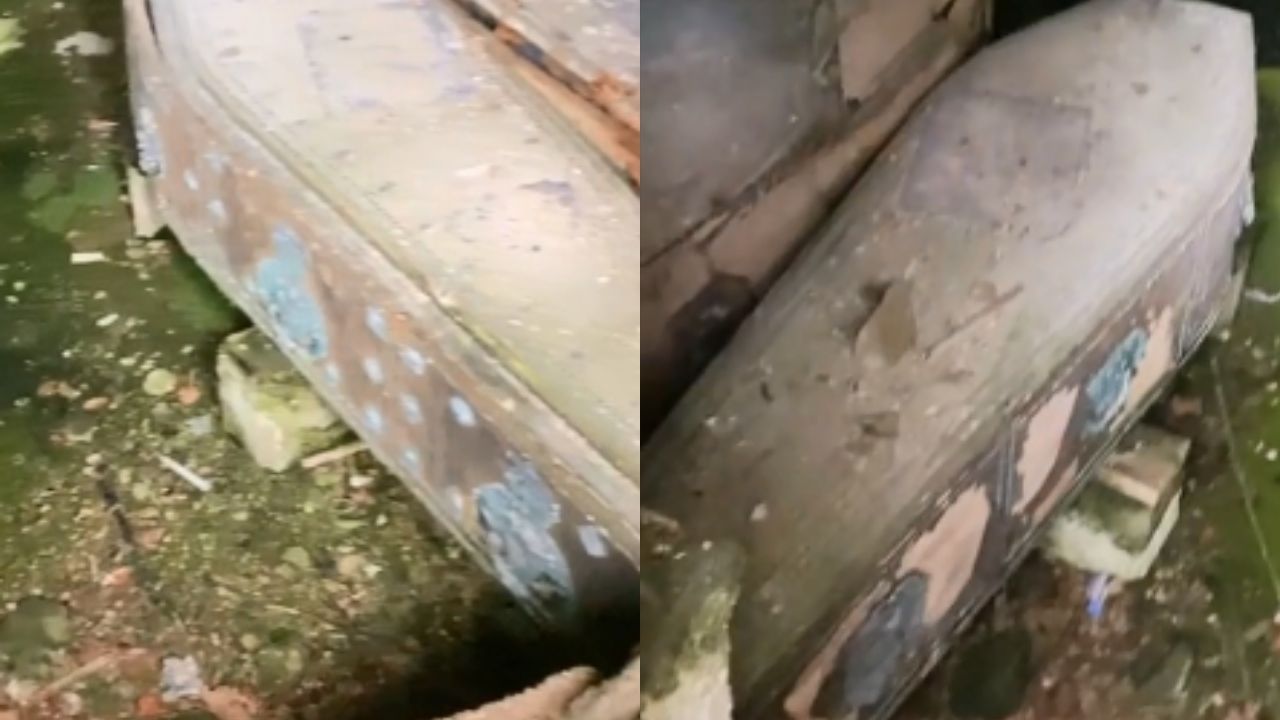 Explorador encontra quatro caixões misteriosos em floresta escocesa