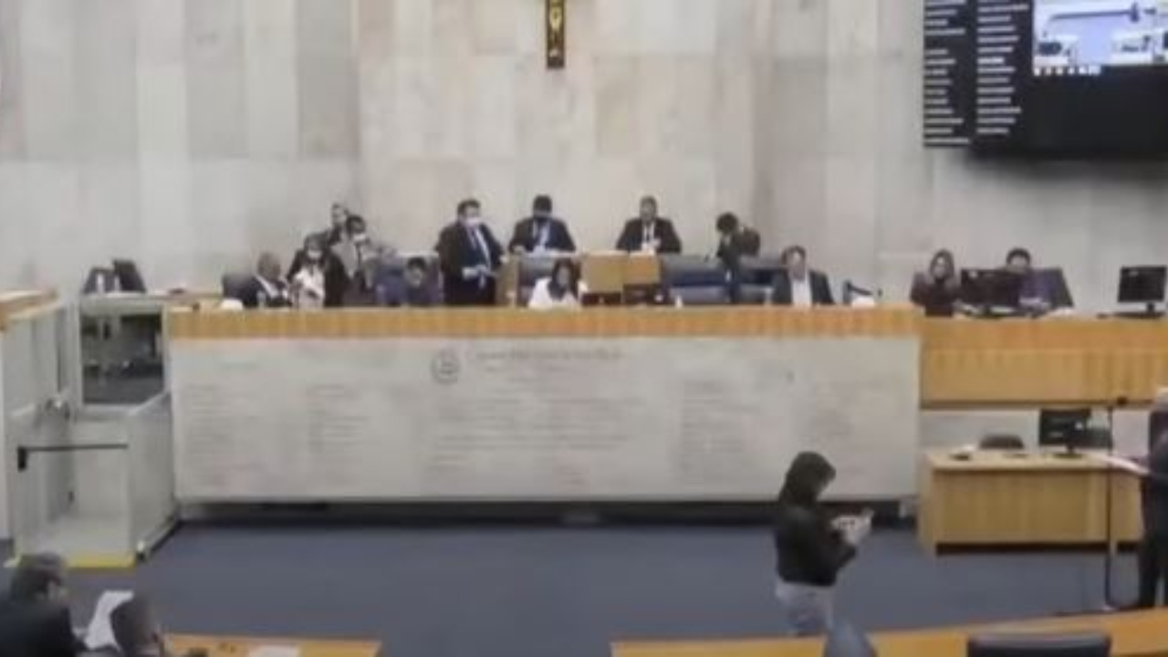 Câmara de São Paulo aprova ‘Dia da Harmonização Facial’