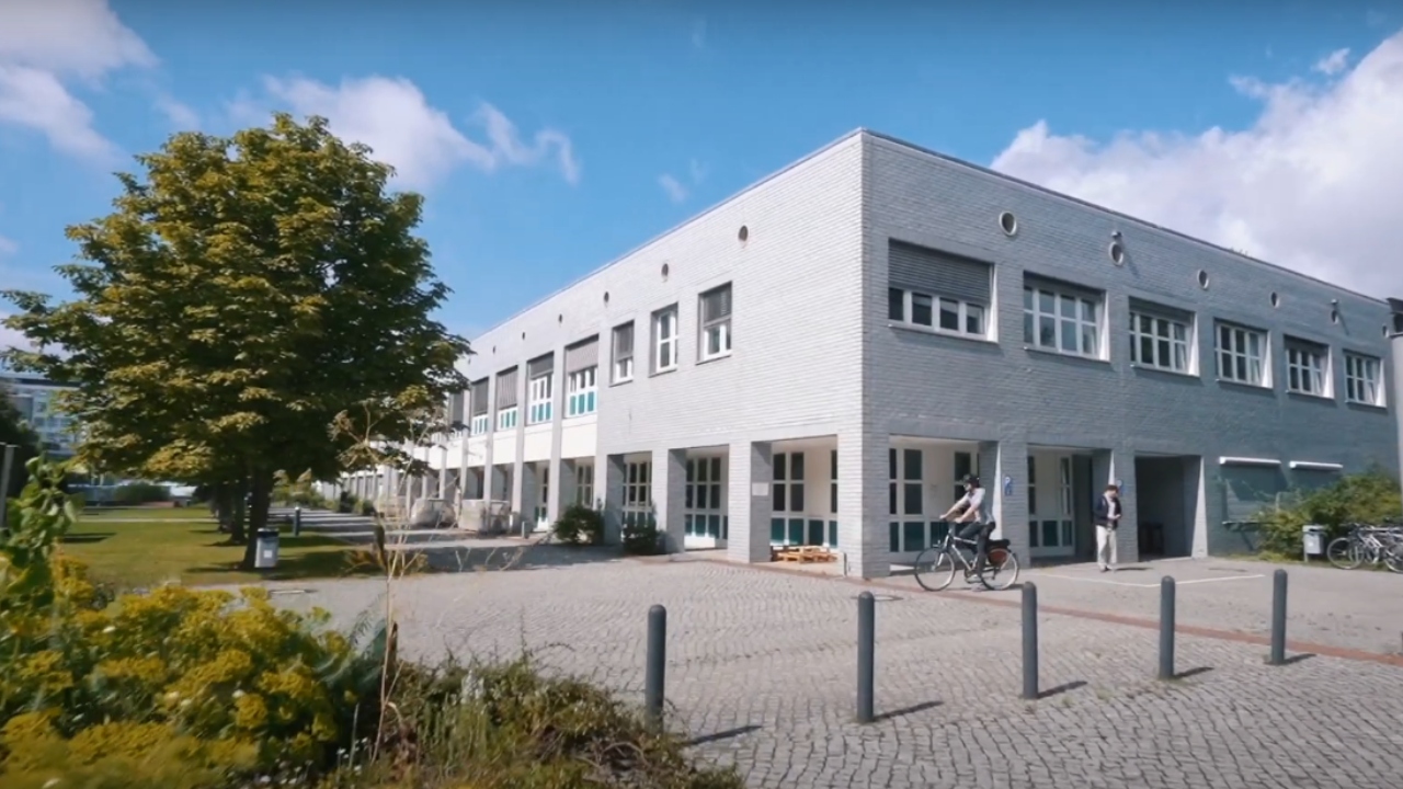 Universidade da Alemanha enterra milhares de ossos humanos encontrados no campus