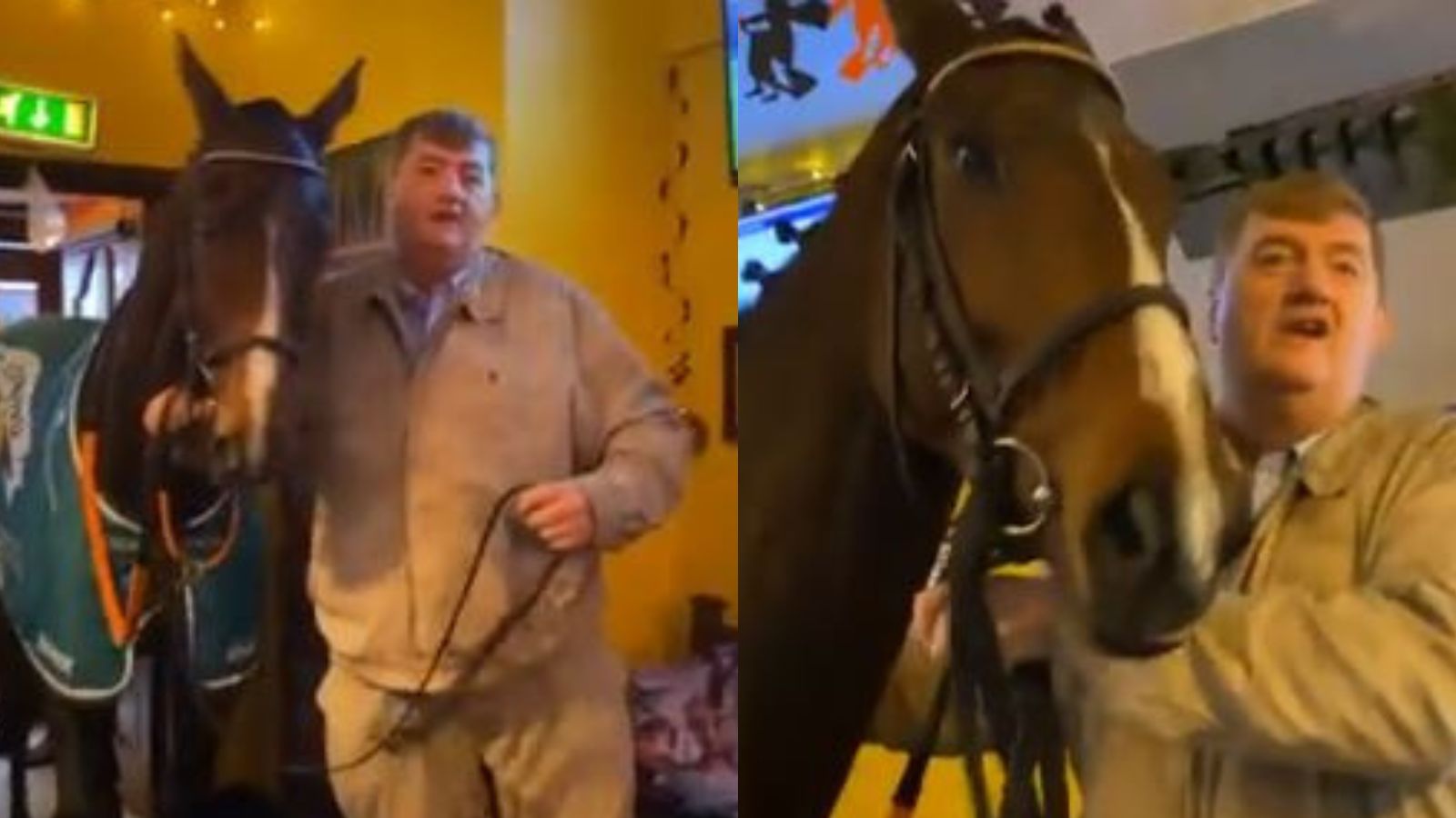 Homem desfila com cavalo em pub  e dá cerveja ao animal