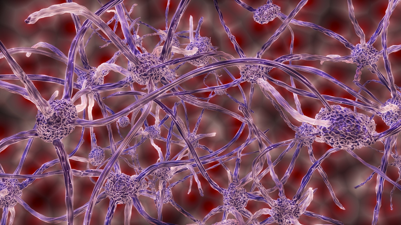Em experimento, neurônios jogam pong em laboratório