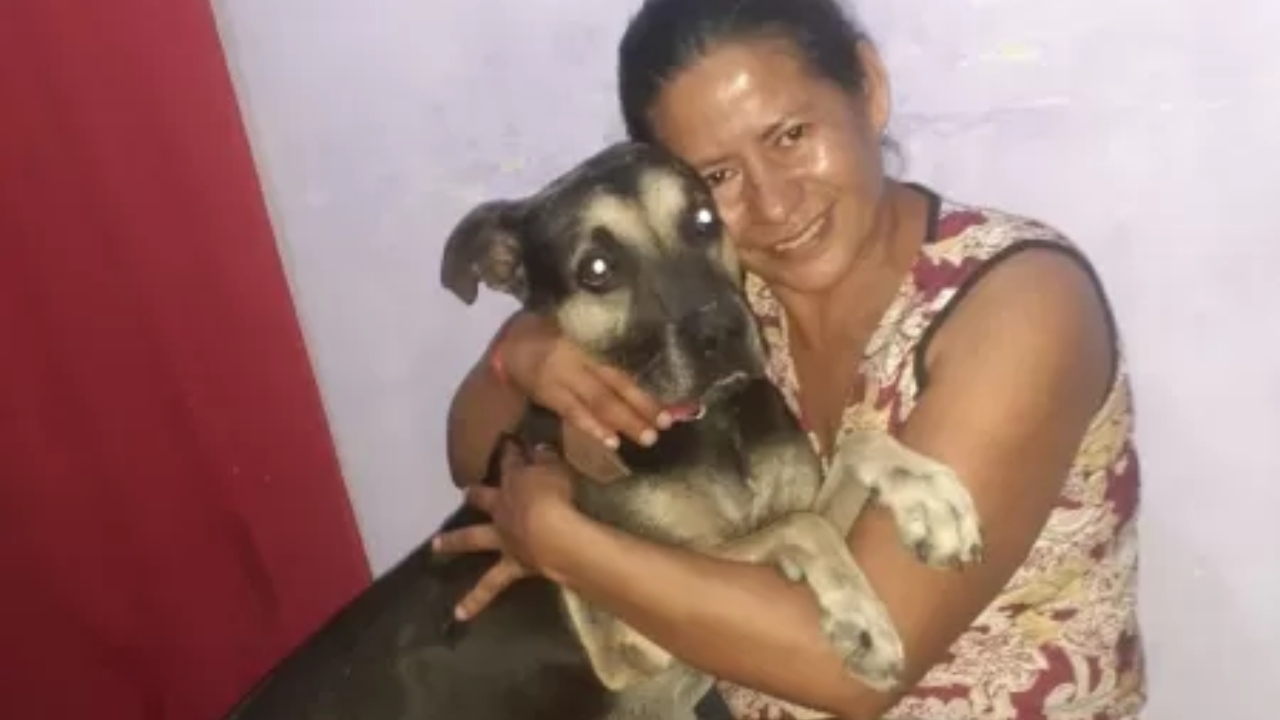 Sempre ao seu lado: Cachorro espera dona na porta de casa em SP por um mês e viaja para reencontrá-la