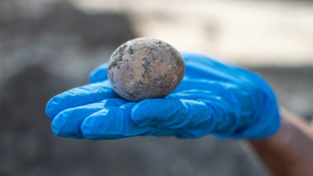 Ovo de galinha de mil anos é descoberto conservado em fezes humanas em Israel
