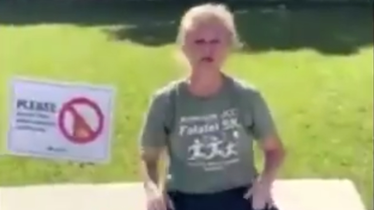 Mulher que fez comentários racistas nos Estados Unidos é atingida por caminhão e luta pela vida