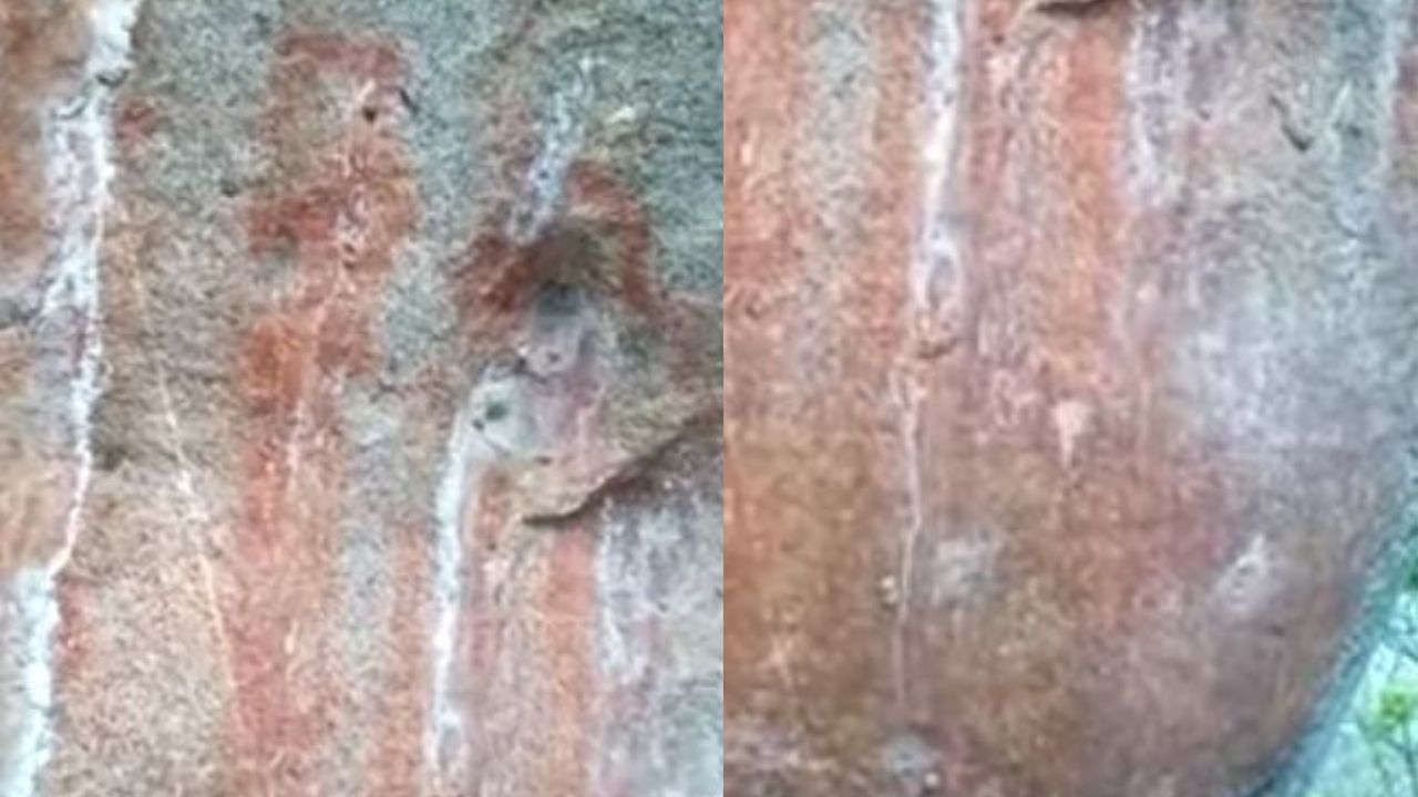 Pinturas rupestres são descobertas em paredão rochoso em Alagoas