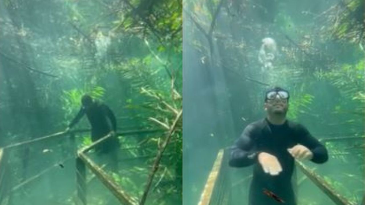 Turistas fazem registros fantásticos em trilha submersa de águas cristalinas
