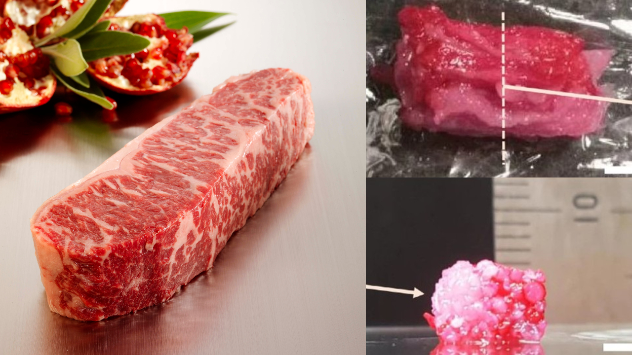 No Japão, pesquisadores criam versão sintética da carne wagyu