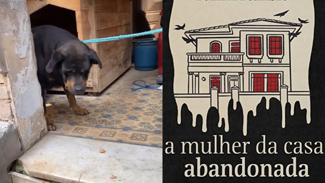 ‘A Mulher da Casa Abandonada’: Instituto Luisa Mell resgata cachorros que estavam na casa que viralizou