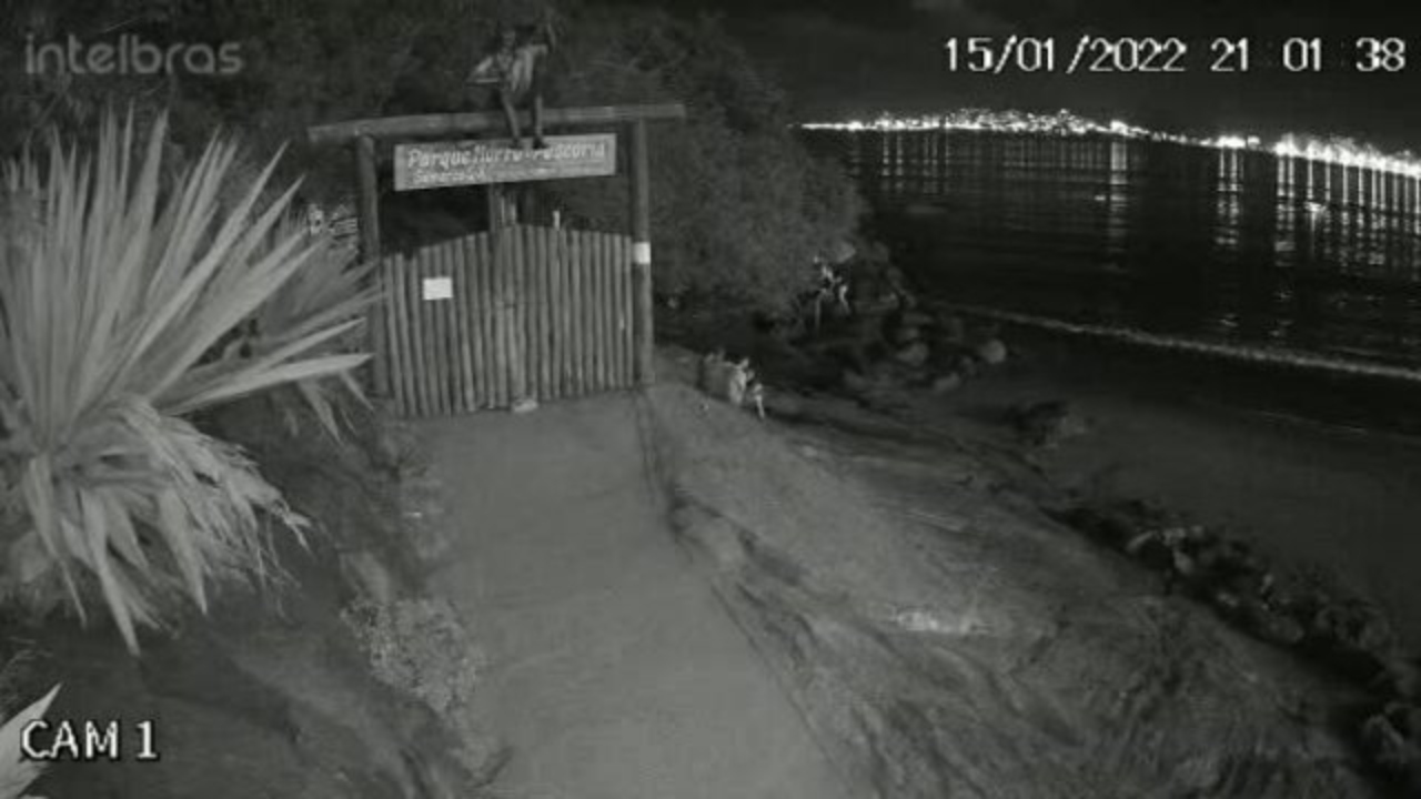 Namorada de jovem que teve a barriga aberta em praia é inocentada de crime