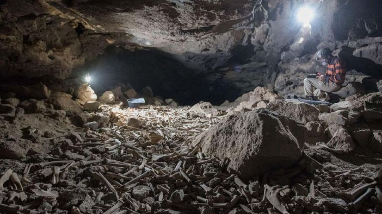 Macabro ‘mar de ossos’ é encontrado em caverna na Arábia Saudita