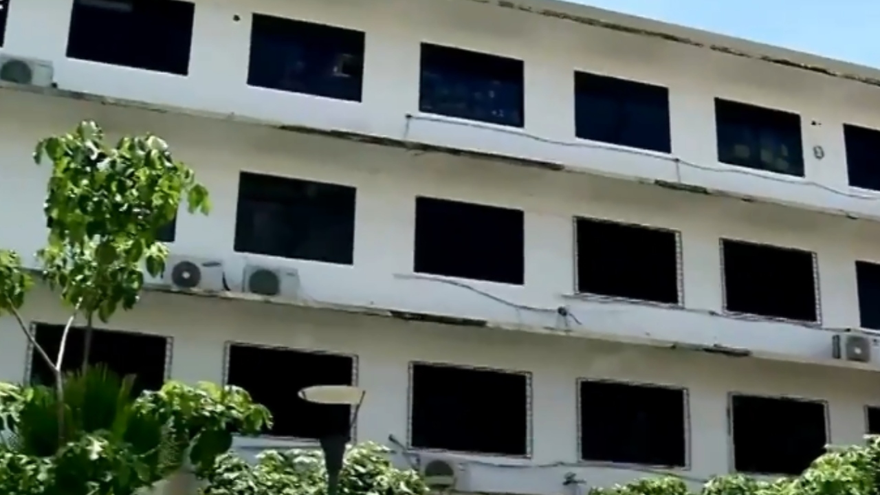 Briga de gatos gera falso alerta e faz prédio ser evacuado