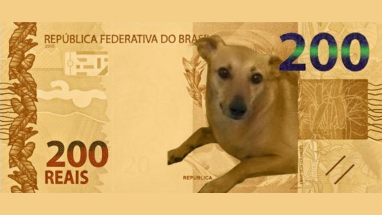 Vira-lata caramelo aparece em comercial do Banco Central sobre a nota de 200 reais