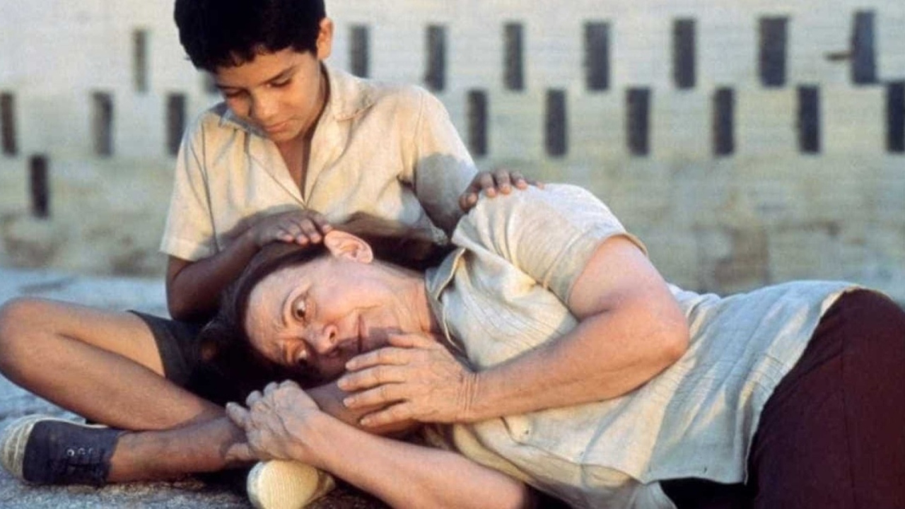Itaú Cultural Play disponibiliza programação de filmes da 7ª Mostra Ciranda de Filmes que homenageia Paulo Freire