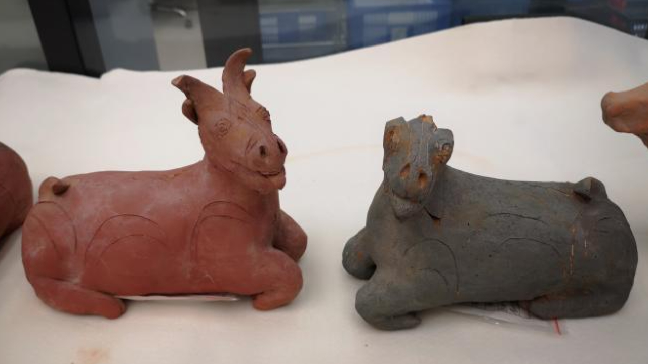 Mais de cem tumbas e raros objetos são desenterrados em escola chinesa