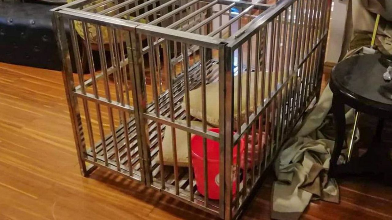 Chinesa escapa de sequestro após ser mantida em gaiola por 20 dias