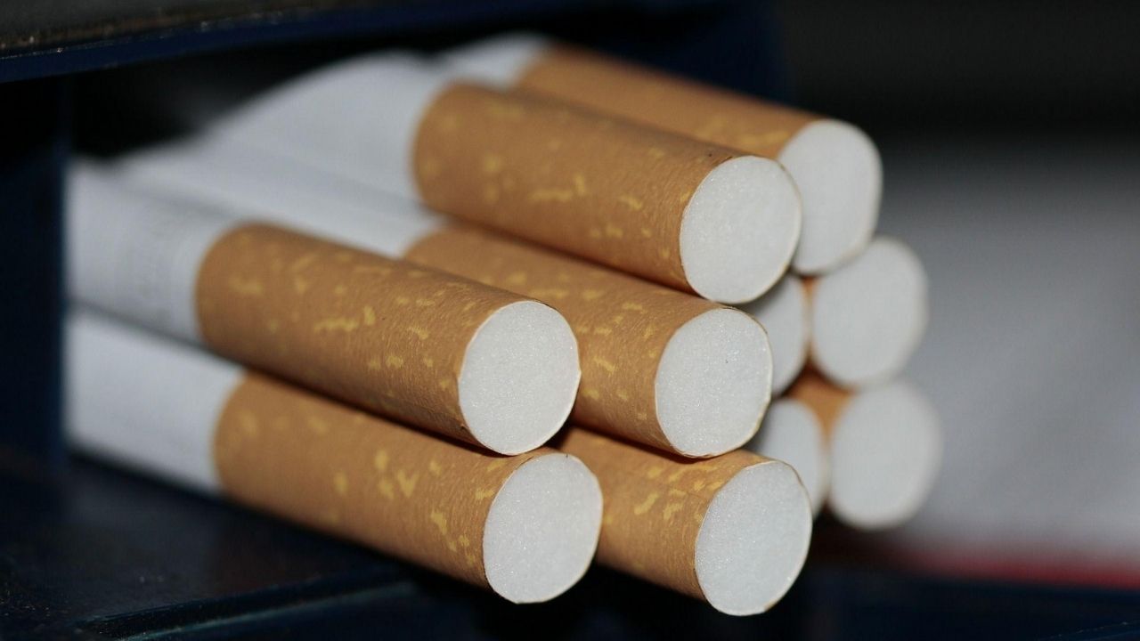 Neurocientista explica efeitos da nicotina no Dia Mundial sem Tabaco