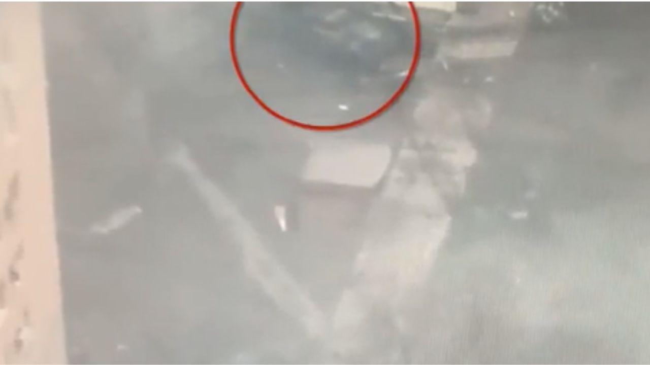 Vídeo de tanque de guerra atirando em suposto civil é publicado por ministra ucraniana