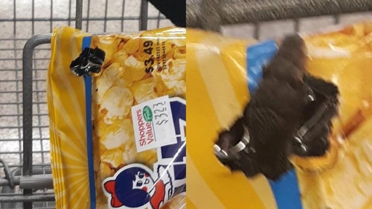 Mulher compra saco de pipoca e descobre cobra ‘morando’ em embalagem