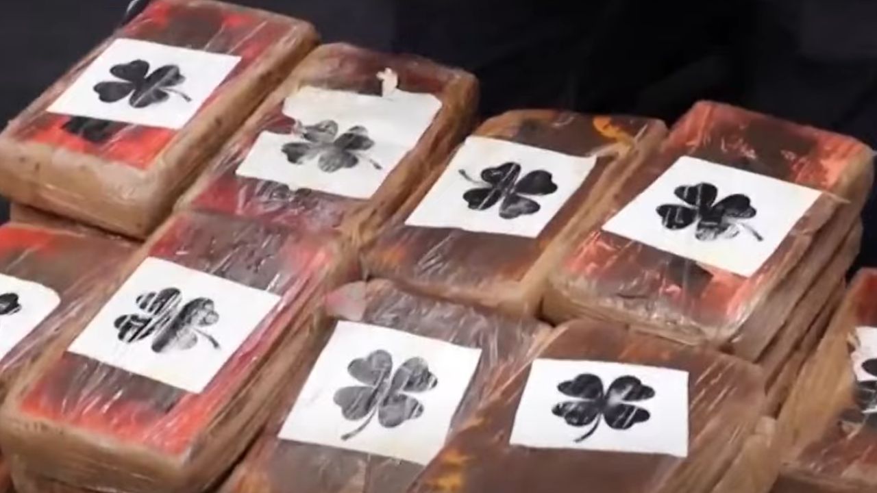 Suficiente para 30 anos: Nova Zelândia intercepta 3,2 toneladas de cocaína no oceano