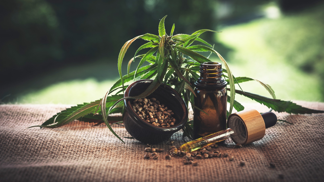 Ácidos da Cannabis podem prevenir coronavírus, aponta estudo