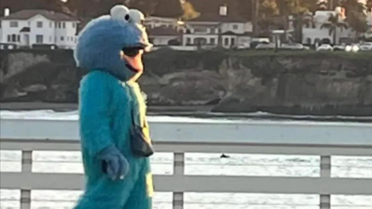 ‘Fique longe’, alerta polícia dos EUA sobre homem vestido de personagem da Vila Sésamo