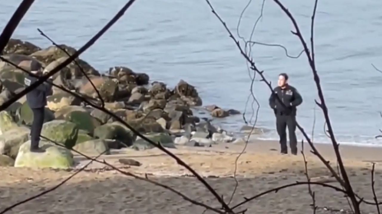 Em praia do Canadá, dois policiais são gravados tirando fotos ao lado de homem morto