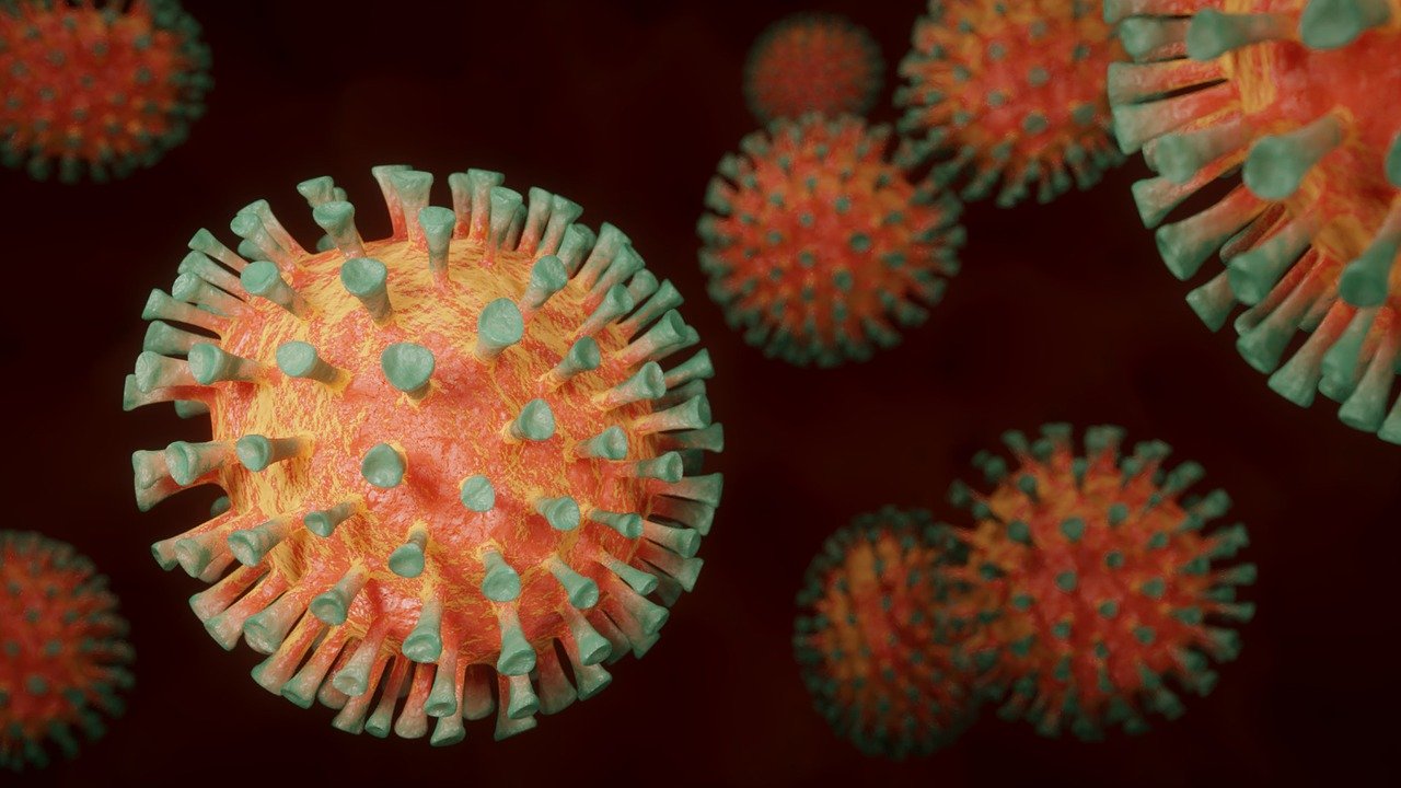 Proteína da Covid-19 é capaz de se acoplar nas células neurais e prejudicar a memória