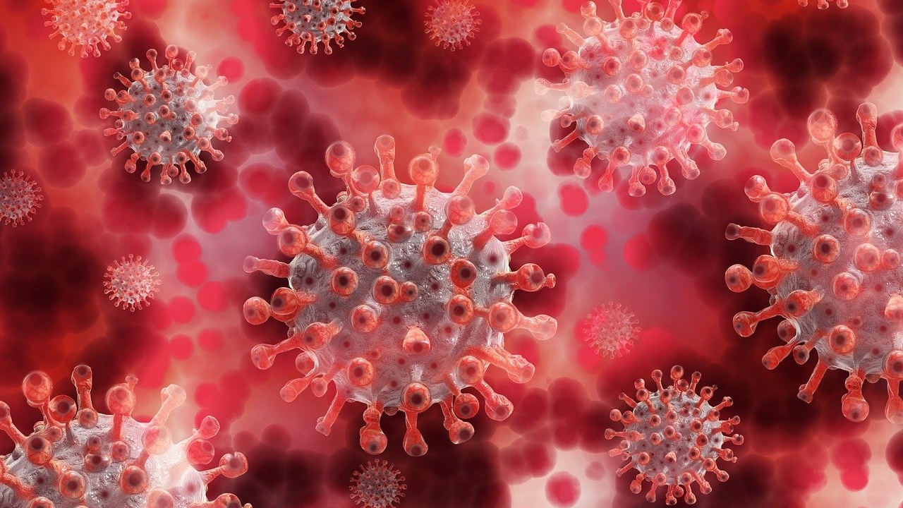 A proteína SARS-CoV-2 interage com a proteína de Parkinson e promove a formação de amiloide