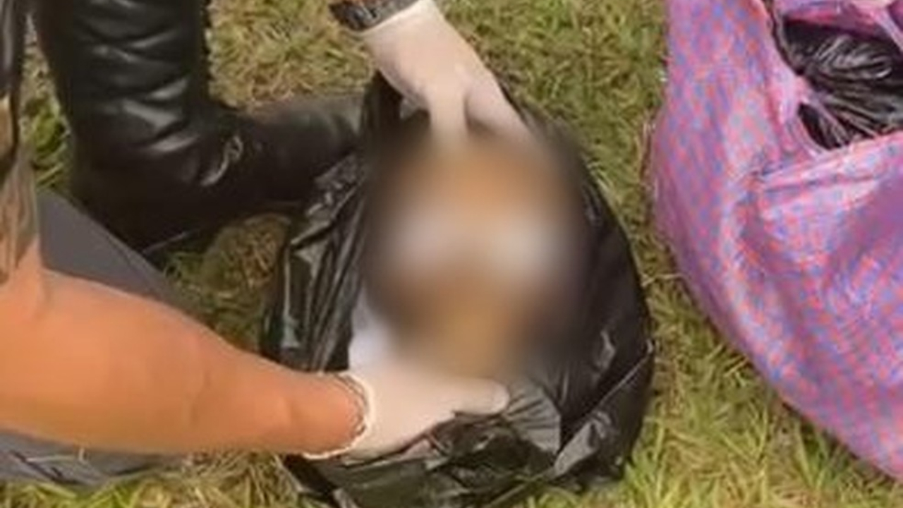 Policia Rodoviária apreende crânio humano com passageiro de ônibus