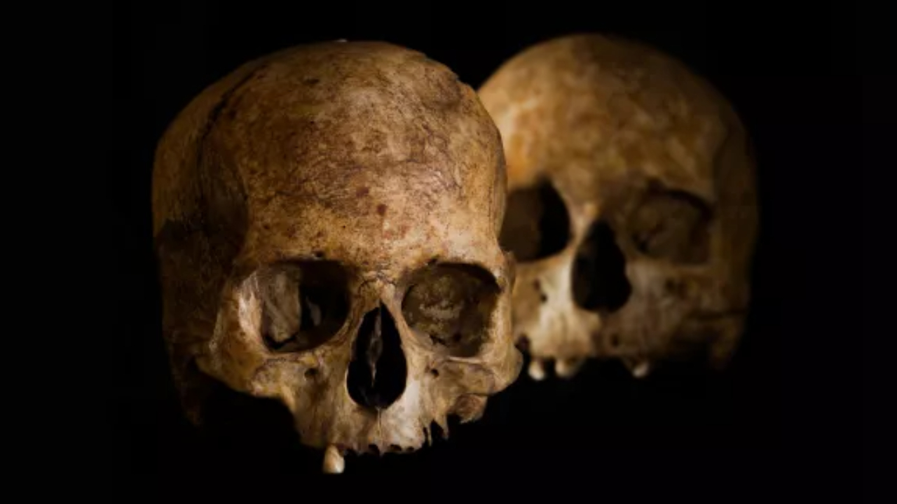 Arqueólogos encontram indícios de cirurgia da Idade da Pedra na Espanha