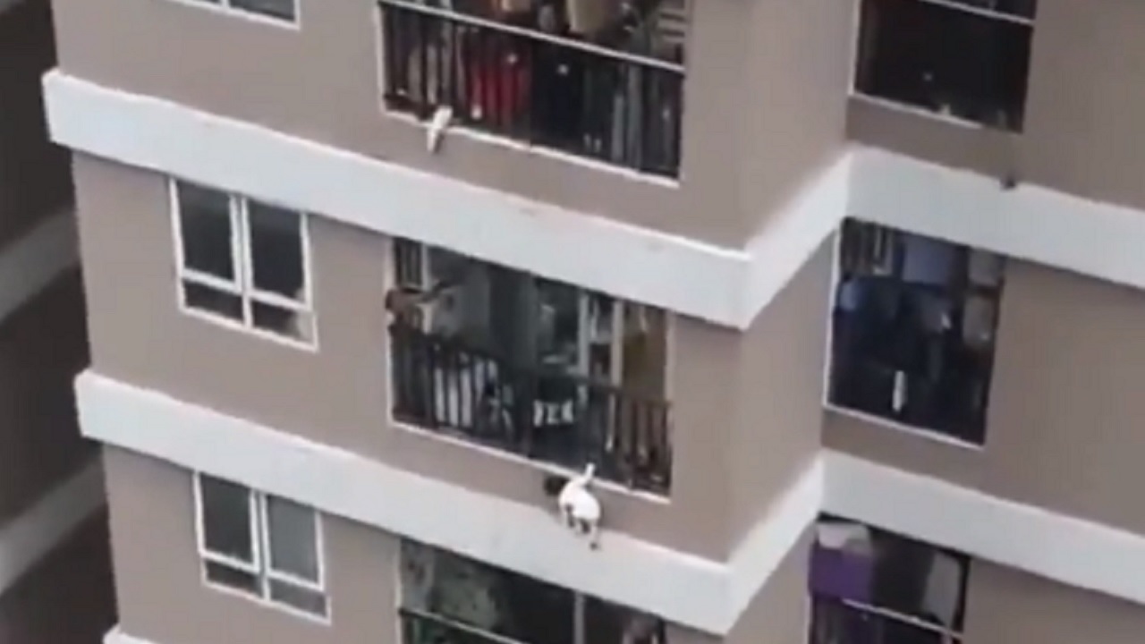 Herói por delivery: Entregador salva menina de três anos após queda de 12º andar