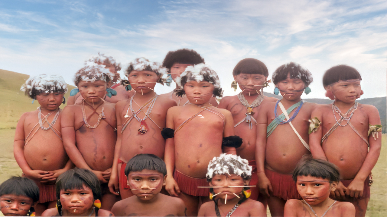 Estratégias ancestrais usadas pelos povos Yanomami para enfrentar a covid são analisadas em artigo da USP