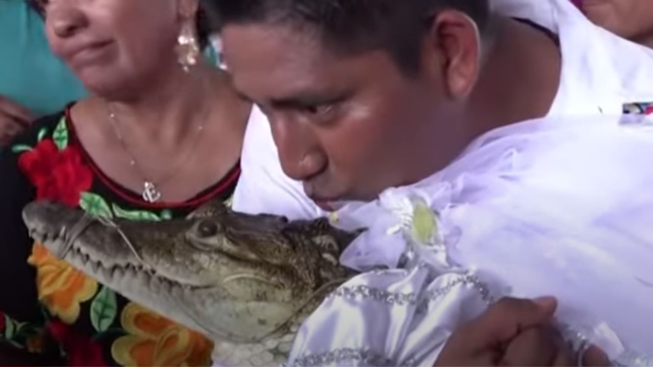 Por que um prefeito do México se casou pelo segundo ano seguido com um crocodilo?