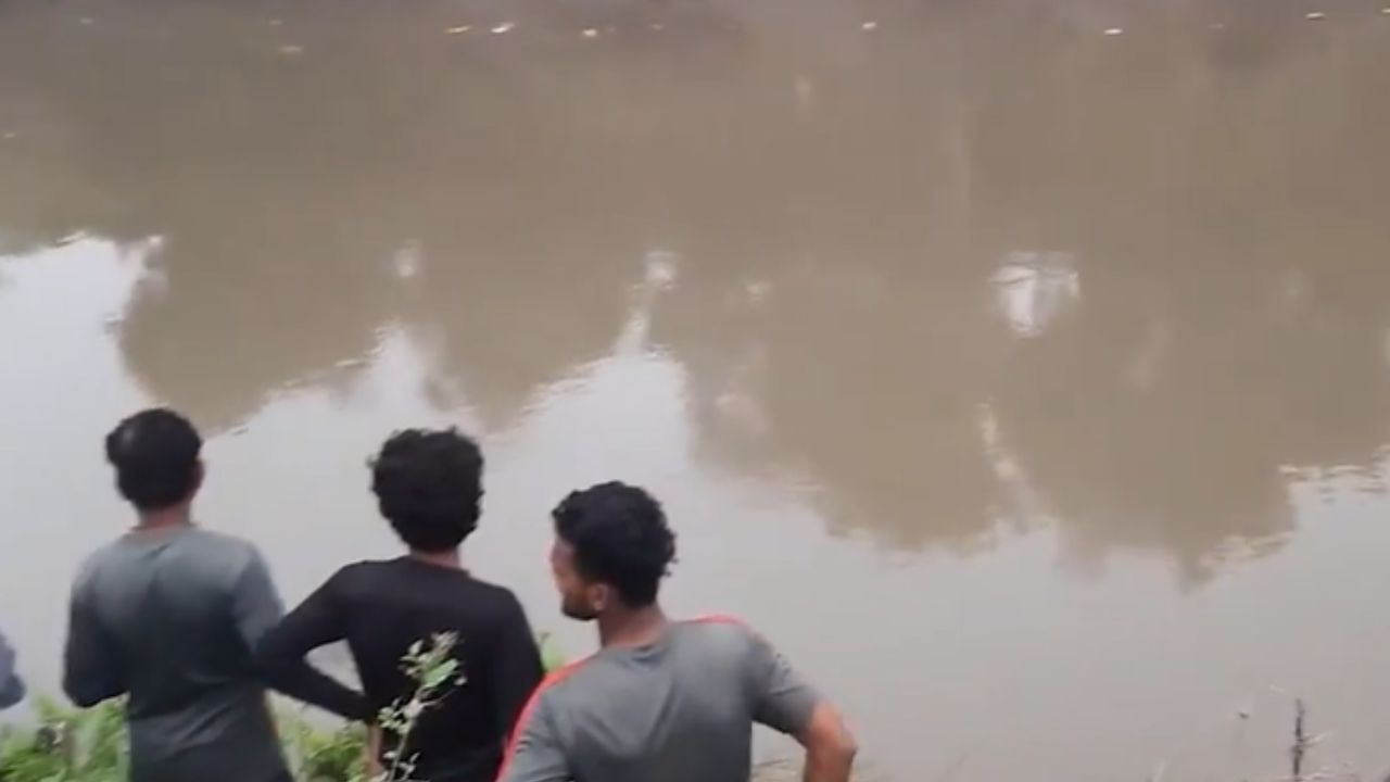 Crocodilo nada carregando cadáver de homem desaparecido em rio na Índia