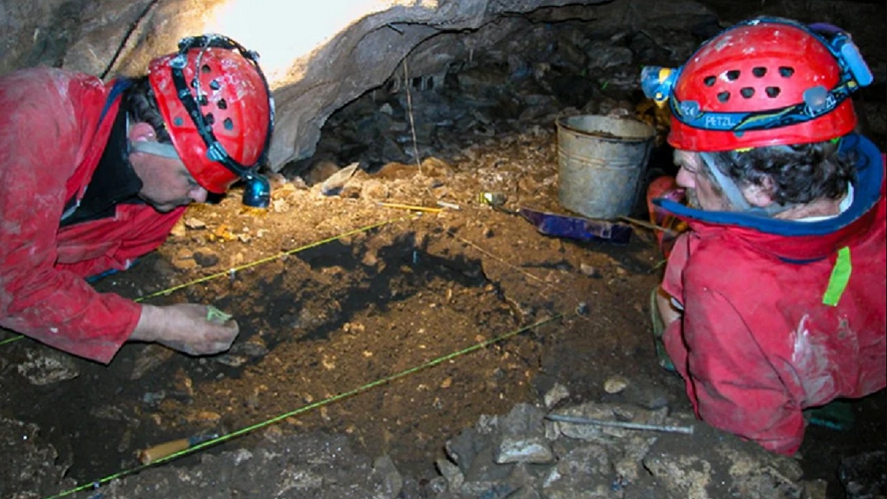 Na América, cães já eram domesticados há 13 mil anos