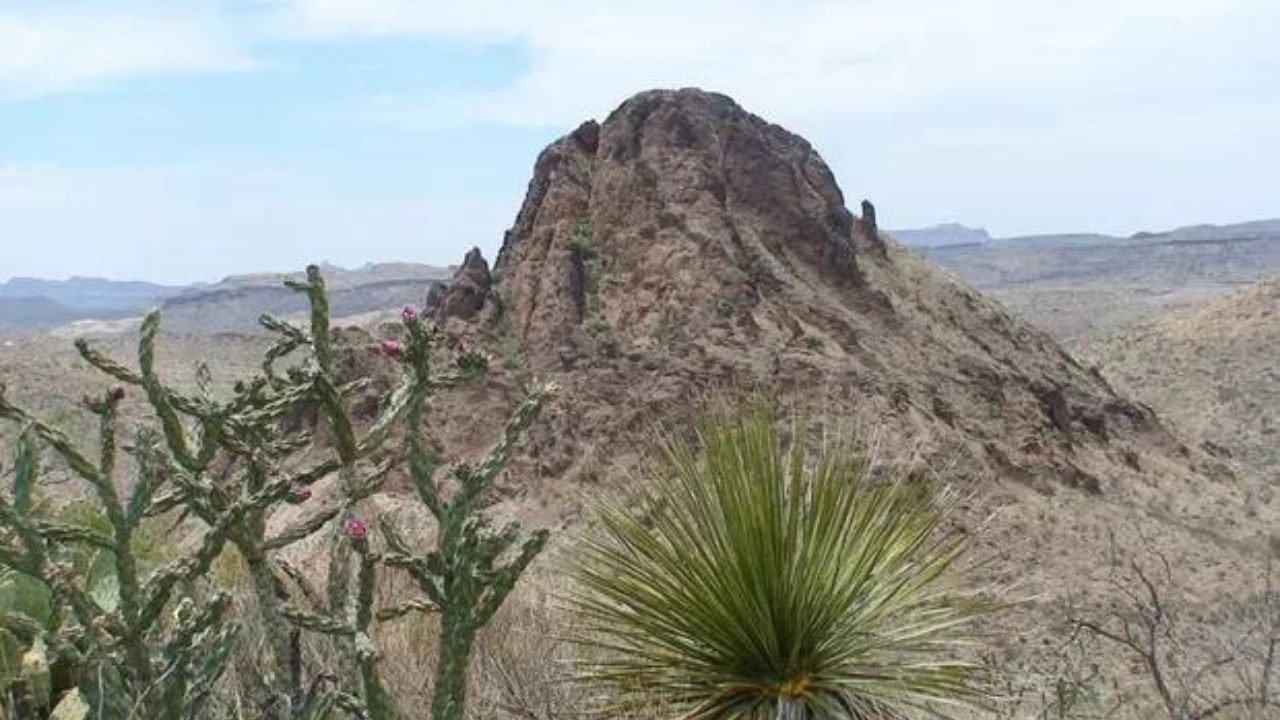 Homem sobrevive ao deserto por conta de ‘três milagres’