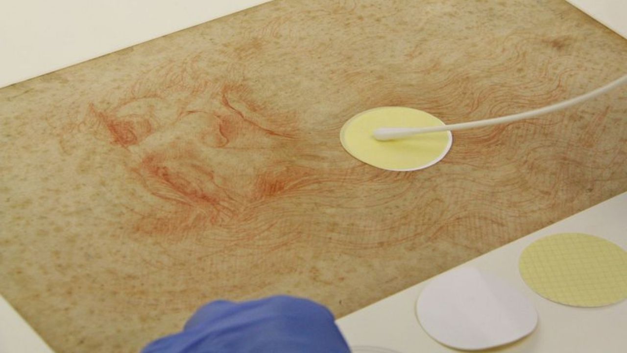 Cientistas encontram bactéria intestinal em obras de Leonardo da Vinci