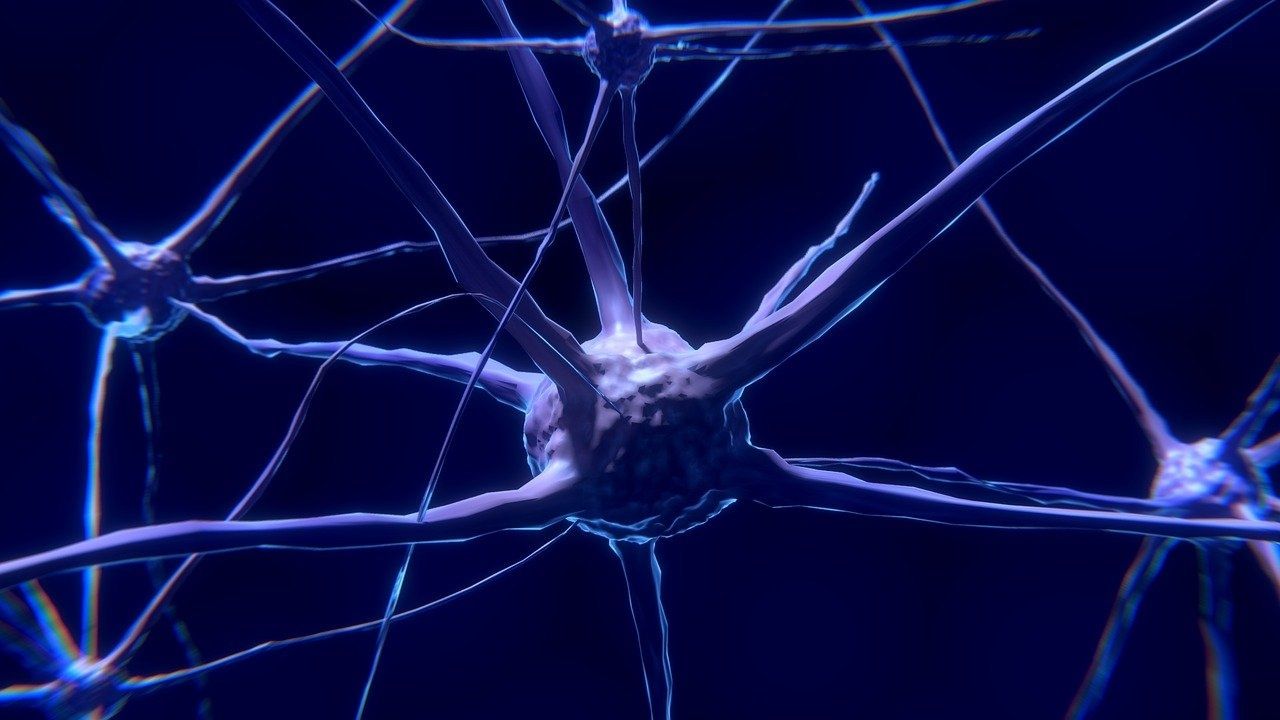 Doença neurológica enigmática já afetou 43 pacientes no Canadá
