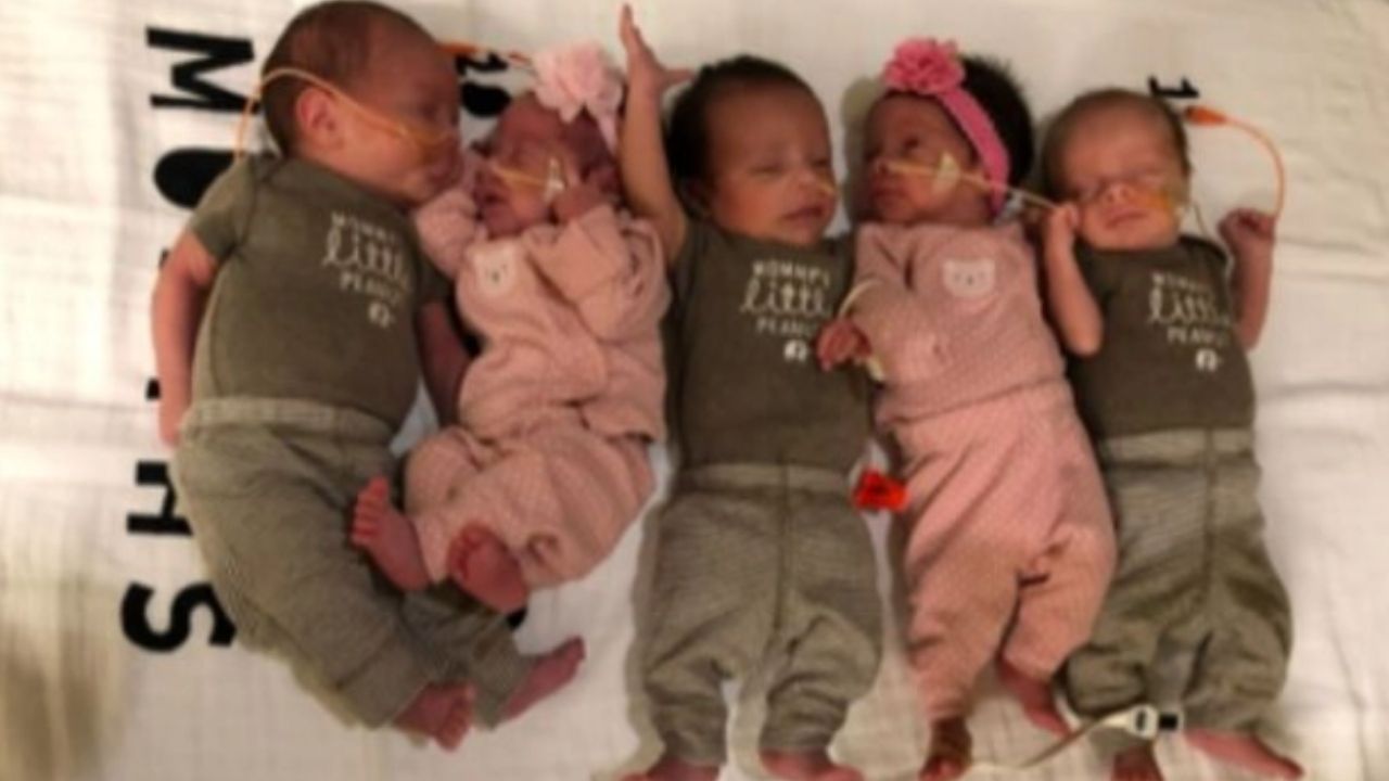 Nos Estados Unidos, mulher que não produzia óvulos teve cinco bebês
