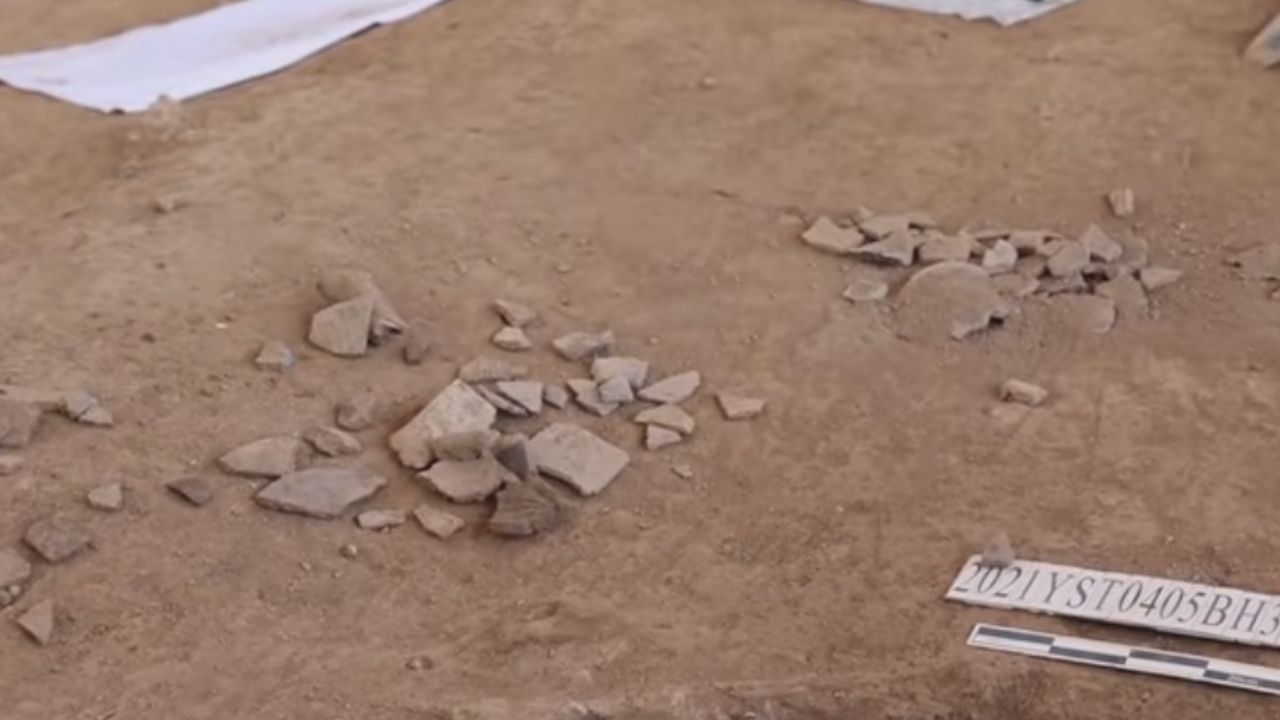 Resquícios de seda e álcool de 5 mil anos são encontrados em sítio arqueológico na China