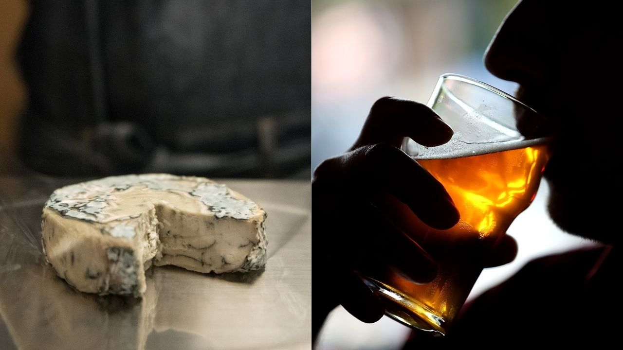 Análise de fezes preservadas revela que humanos já ingeriam queijo e cerveja há 2.700 anos