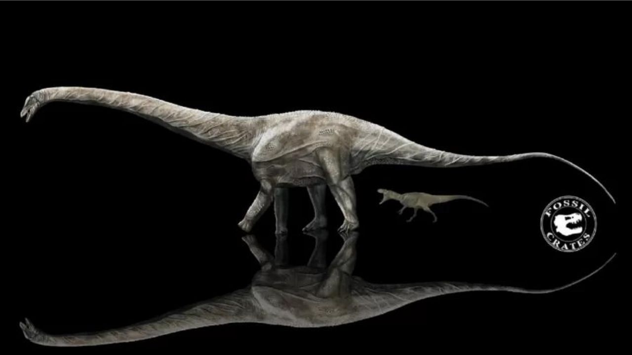 Revelado dinossauro que teria sido o mais longo que já existiu