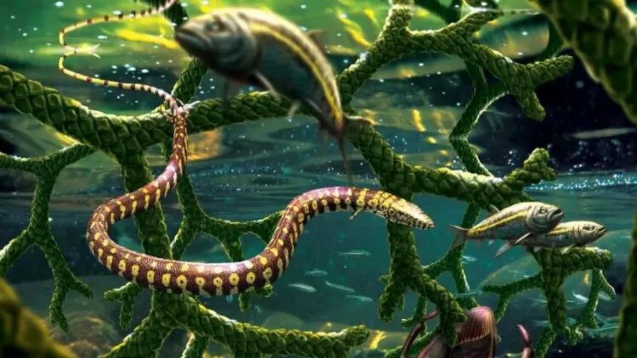 Paleontólogos revelam engano envolvendo “cobra com quatro patas”