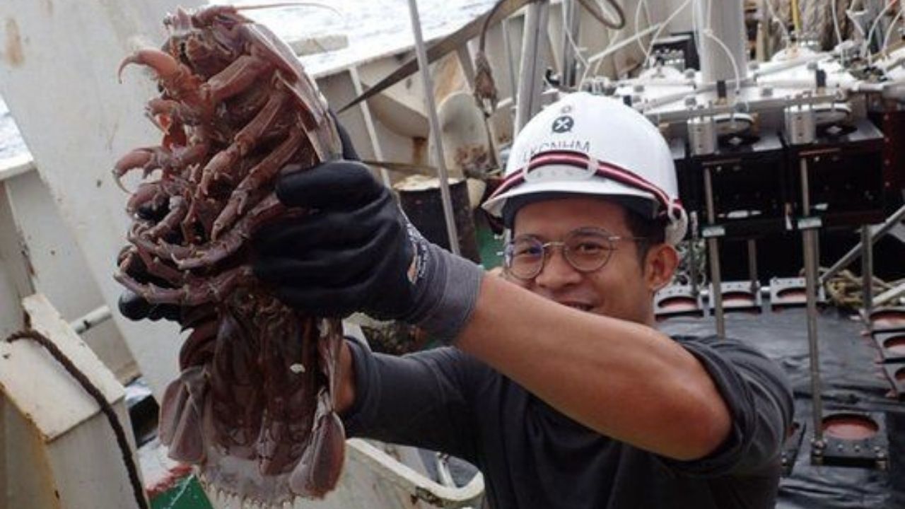Em águas profundas: a ‘barata gigante’ descoberta em 2020