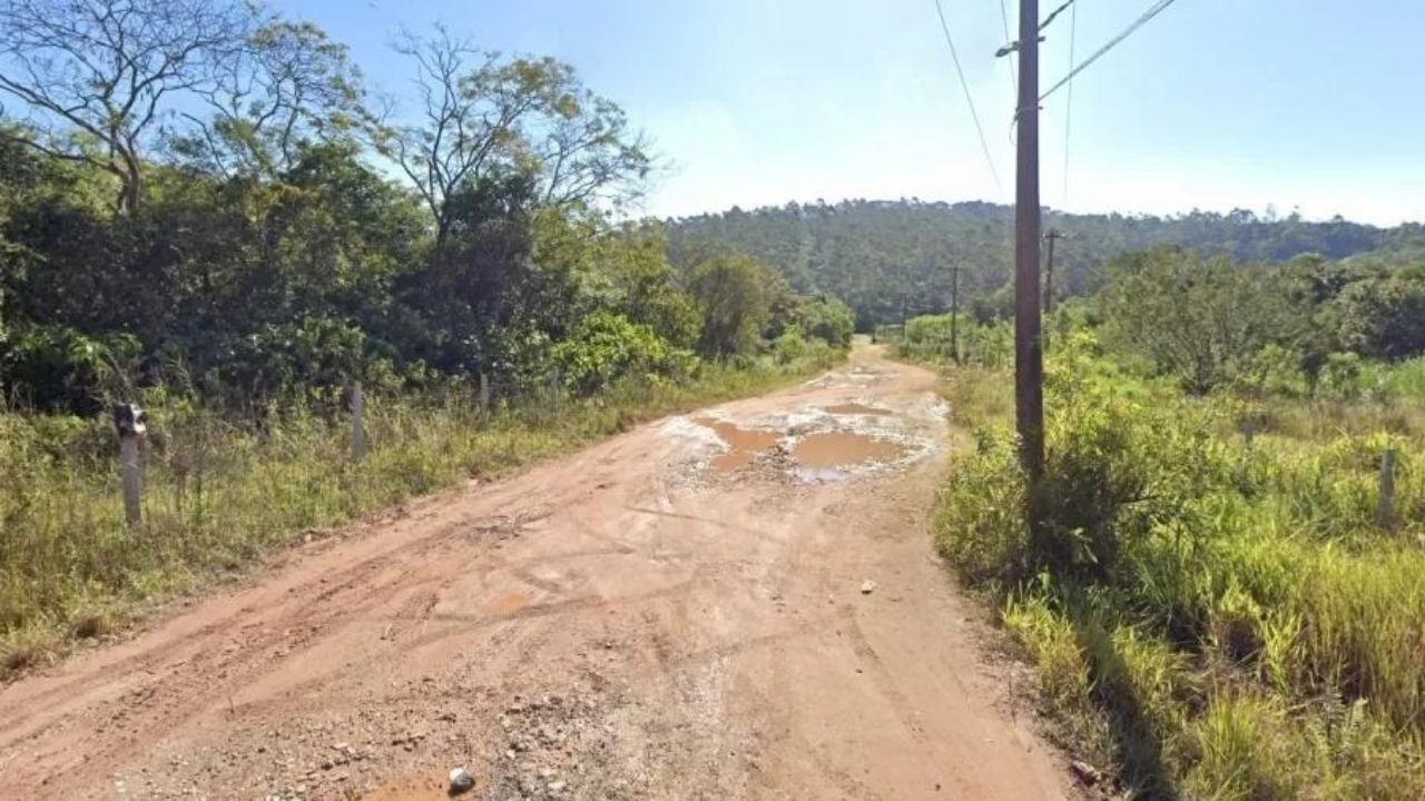 4 corpos são encontrados em região de mata em Ferraz de Vasconcelos