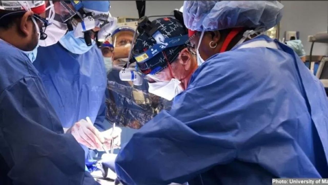 Revelada causa da morte do homem que recebeu transplante de coração de porco